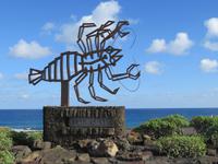 An den Höhlen Jameos del Aqua