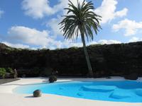 Pool an den Höhlen Jameos del Aqua
