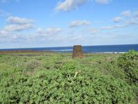 Atlantik an den Höhlen Jameos del Aqua