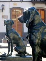 Las Palmas de Gran Canaria