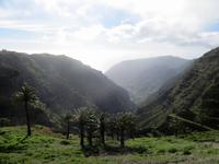 Inselrundfahrt La Gomera