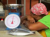 Fischmarkt Mindelo, Kapverden