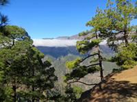 La Palma, Nationalpark Caldera de Taburiente