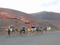 Nationalpark Timanfaya, Lanzarote