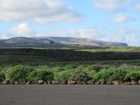 Grünes Lanzarote
