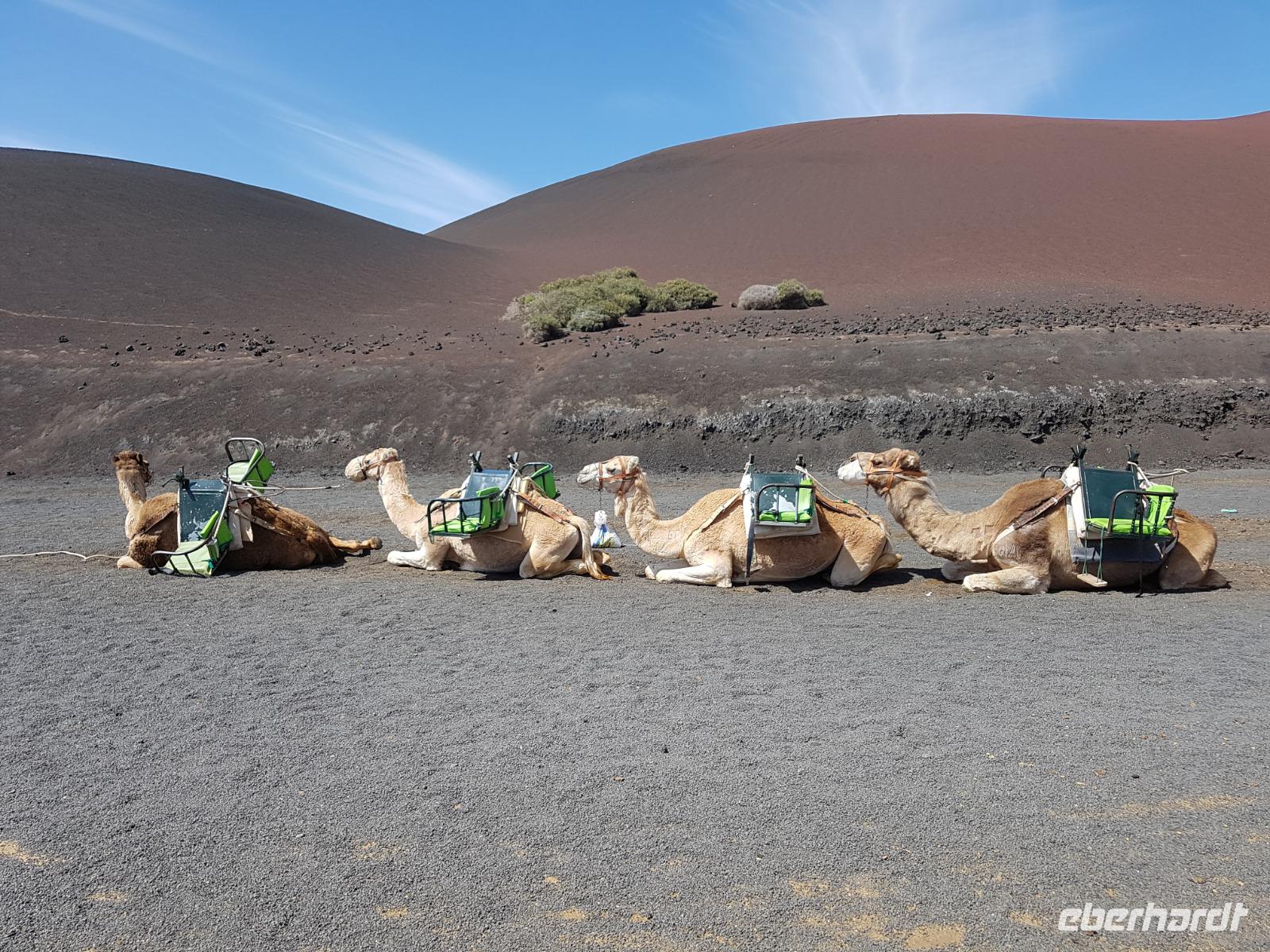 058_Lanzarote