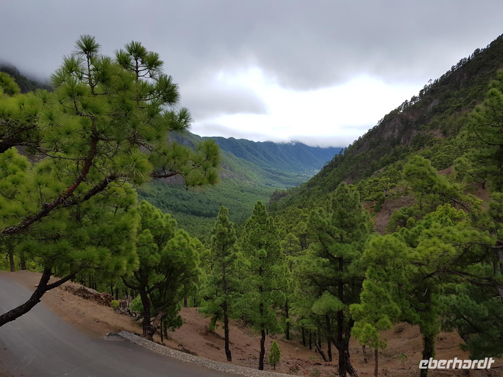 067_La Palma