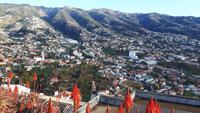 Madeira - Funchal (Ausblick vom Pico dos Barcelos)