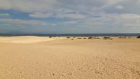 Fuerteventura - Dünen von Corralejo