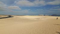 Fuerteventura - Dünen von Corralejo