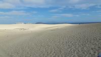 Fuerteventura - Dünen von Corralejo
