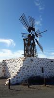 Fuerteventura - Mühle von Tefia