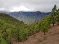 57_La Palma