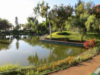 Im Catarina-Park von Funchal
