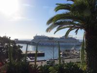 Blick zur AIDAstella vom Catarina-Park von Funchal