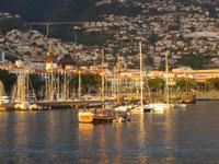 Abend an Bord - Blick auf Funchal
