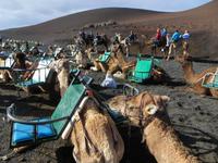 Bereit zum gemütlichen Ritt