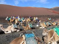 Bereit zum gemütlichen Ritt