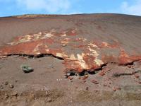 Flechten am Kraterrand