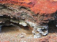 Flechten am Kraterrand