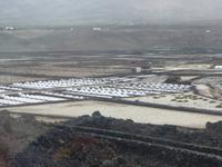 Saline auf Lanzarote