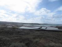 Saline auf Lanzarote