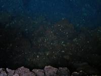 Jameos del Agua auf Lanzarote