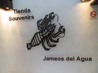 Jameos del Agua auf Lanzarote