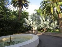 Im Botanischen Garten von Santa Cruz