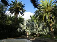 Im Botanischen Garten von Santa Cruz