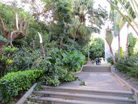 Schäden nach dem Unwetter im Botanischen Garten von Santa Cruz