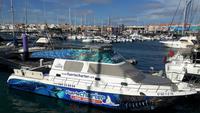 Fuerteventura - Hafen von Corralejo