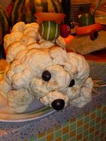 der Blumenkohl-Hund
