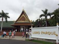 003 Loro Parque