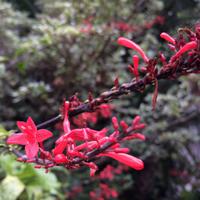 037 Botanischer Garten