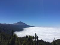 101 Teide