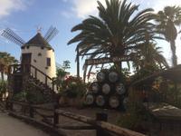 202 die Weiße Muehle