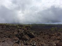 311 Teide-Nationalpark
