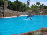 Loro Park Teneriffa