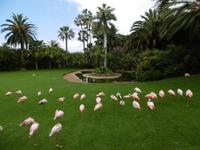 Loro Park Teneriffa