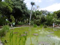 Jardin Botanico - Teneriffa