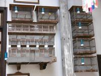 La Orotava - Teneriffa