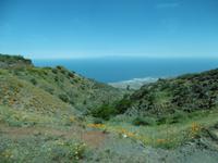 Esperanzawald - Teneriffa