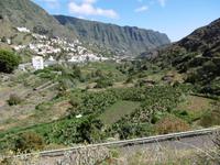 Jeep Safari - La Gomera