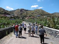 Jeep Safari - La Gomera