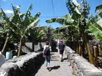 Jeep Safari - La Gomera