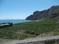 Jeep Safari - La Gomera