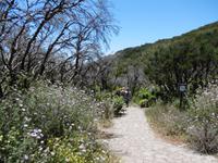 Jeep Safari - La Gomera