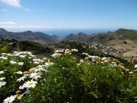 Anaga Gebirge - Teneriffa