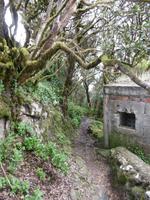 Anaga Gebirge - Teneriffa